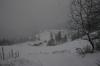 Winterstimmung wrend es schneit            (5003) 