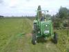 Gras maehen mit Gldner Burgund T            (4706) 