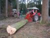 G40AS_Holzrcken1            (5074) 
