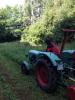 Gldner A2l mit IsekiMulcher            (7470) 