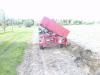 Mist fahren mit Gldner Burgund T            (4806) 