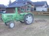 Wiese Schleppen mit Gldner Burgund T            (3698) 