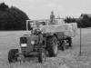 Strohernte 1975 mit unserem G25            (2517) 