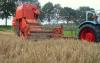 Hanomag Brilliant 701 und Fahr M66TS            (6284) 
