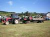Gldner Toledo A4MS ausfA            (3251) 