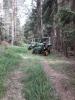 A2KN A4MS im Wald            (9280) 