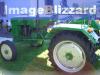 Gldner AZK Links            (4363) 