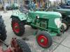 Ein Gldner in Osterwiek 2            (4461) 