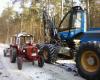 Treffen im Wald 1            (6260) 
