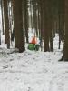 A2KN im Winter im Wald1            (3969) 