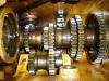 Blick ins Getriebe ZF A5/5            (4376) 