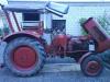 Gldner Burgund Bj1962            (2448) 