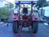 Glgner Burgund            (2449) 