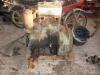 Gldner 2DA Motor            (5047) 
