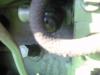 Mehrmengenknopf Motor LKA            (3529) 