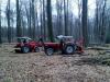 G45AS und G60 im Wald            (4034) 