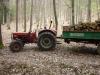 Meterstcke abtransportieren            (7215) 