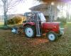 Herbstarbeit 3            (1105) 