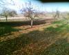 Herbstarbeit 5            (1107) 