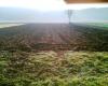 Herbstarbeit 6            (1108) 