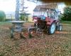 Herbstarbeit 7            (1109) 