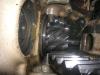 Karies am Kegeltrieb ZF A216            (3486) 