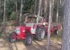 Im Holz 2016            (8672) 