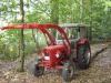 Gldner im Forst            (2251) 