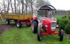 Im Garten            (7943) 