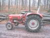 G30 im Wald            (997) 