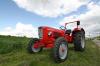 Gotland_2            (3382) 