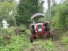 Gldner G45 beim Holzholen im Wald            (9169) 