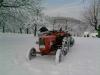 Der erste Schnee            (4981) 