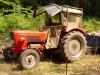 G 35 S im Wald            (2185) 