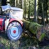 G40S beim Baumstammheben            (4157) 
