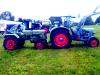 Eicher Knigstiger und Gldner ADN 16 PS            (6509) 