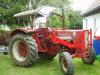 IHC 523            (3899) 