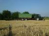 Holder B10 bei der Ernte            (6533) 