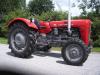 Massey Ferguson MF 35            (4968) 