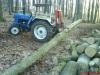 Ford 2000 S beim Holzrcken            (2410) 