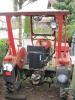 Deutz Traktor F1 612            (7705) 