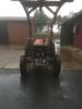 MF 255            (8424) 