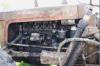 Massey Ferguson MF 35            (4953) 