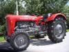 Massey Ferguson MF 35            (4954) 