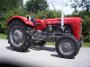 Massey Ferguson MF 35            (4956) 