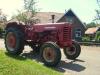 IHC D 436            (6199) 
