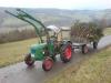 mein D40  treue Seele            (3601) 