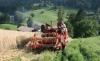 Epple Mobil 211 H            (3443) 