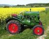 11er WasserDeutz            (491) 